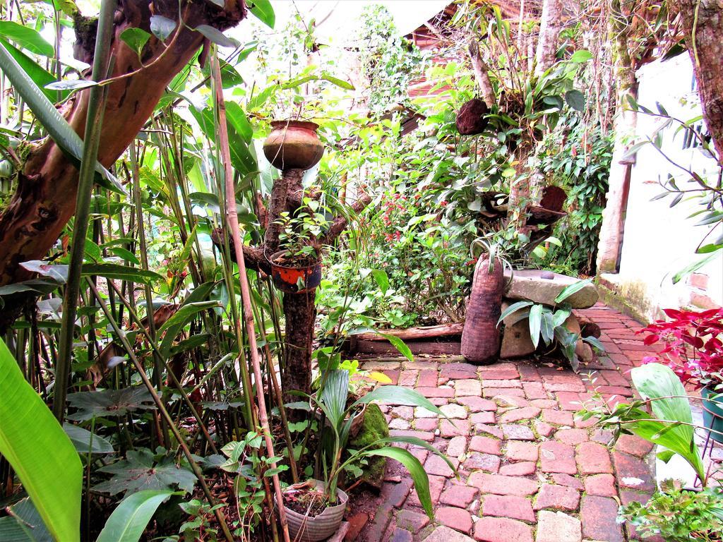 Hotel Casa Tarzan San Agustin Exteriér fotografie